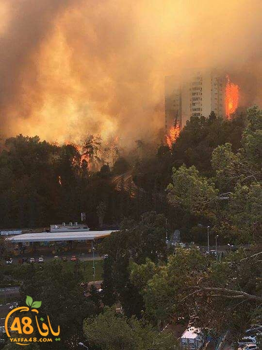 fire in isara3ewl (10).jpg